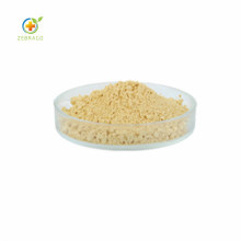 Wholesale Price GMO Free Chinese Pea Protein Powder